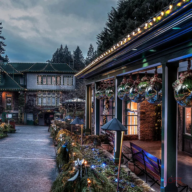 Гирлянда Супернить Feron CL50 29882 Цвет арматуры хром Цвет плафонов белый от ImperiumLoft