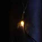 Гирлянда сеть FERON CL42, 260LED, 2700К (тёплый белый)3*3м+3м 22см, IP44, 14W от ImperiumLoft