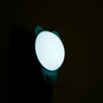 Светильник ночник Feron FN1171 LED IP20 1.2W 2700, 6500К от ImperiumLoft