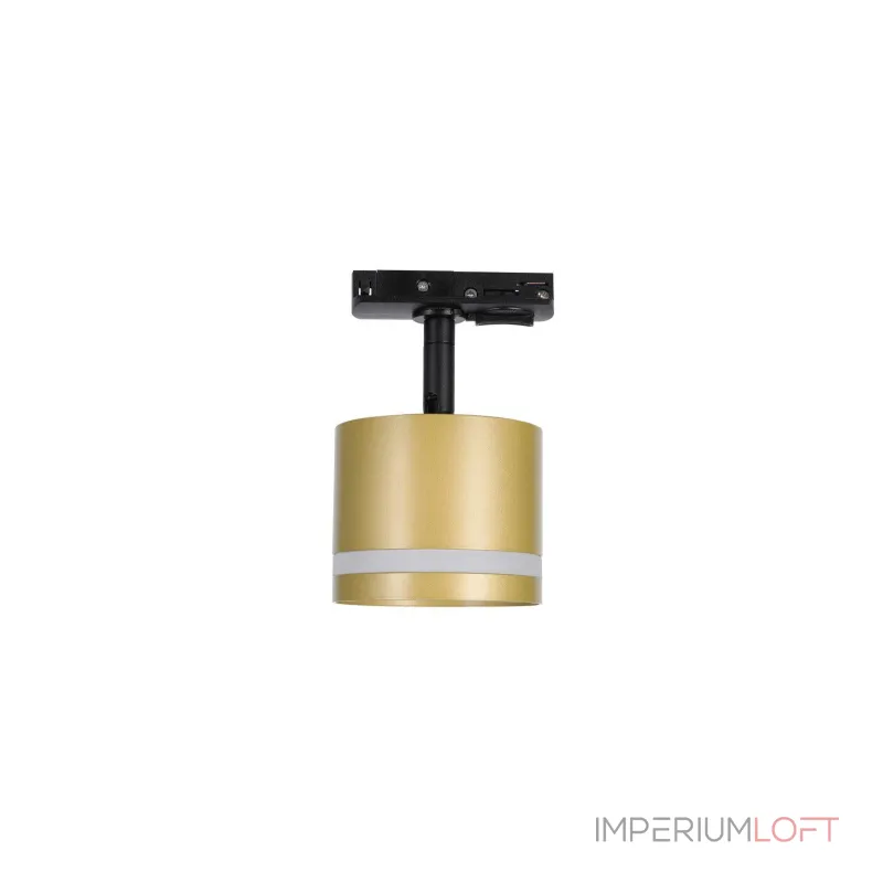 Светодиодный потолочный светильник Lucia Tucci Ltp LTP-T001-01GX53-G от ImperiumLoft