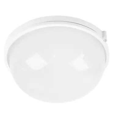 Пылевлагозащищённый светильник Feron 53173