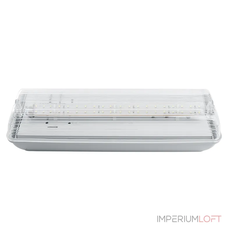 Светильник аварийный Feron EM101 LED IP65 2W от ImperiumLoft