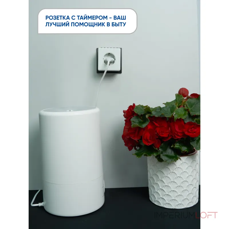 Розетка с таймером Feron TM21 23215 от ImperiumLoft