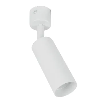 Настенно-потолочный светильник Feron 51925