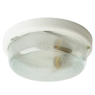 Накладной светильник Feron НБО 05-100 41403 Цвет плафонов прозрачный