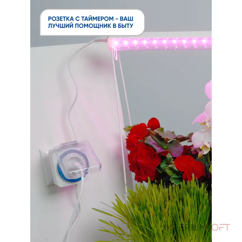 Розетка с таймером Feron TM31 23204 от ImperiumLoft Розетка с таймером Feron TM31 23204 от ImperiumLoft