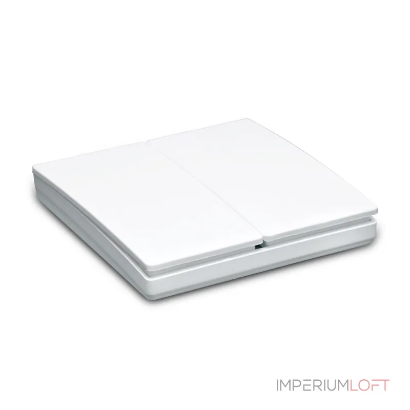 Выключатель двухклавишный без рамки Feron Saffit TM82 41129 от ImperiumLoft Выключатель двухклавишный без рамки Feron Saffit TM82 41129 от ImperiumLoft