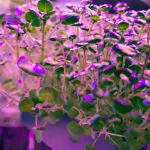 Лампа светодиодная Feron LB-7061 E27 15Вт K 38276 от ImperiumLoft