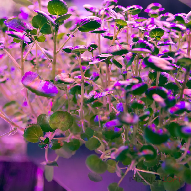 Лампа светодиодная Feron LB-7061 E27 15Вт K 38276 от ImperiumLoft