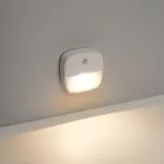 Светильник с датчиком движения и освещенности Feron FN1220 LED IP20 0.5W 4000К от ImperiumLoft