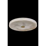 Потолочный светильник Fluorite Luar FL1110-6C