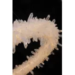 Люстра подвесная Fluorite Augusto FL1212-10P от ImperiumLoft