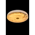 Потолочный светильник Fluorite Luar FL1110-5C