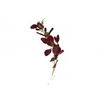 9F28558-BR Веточка эвкалипта с цветами листья бордовые 72см (24) от ImperiumLoft