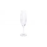 SR4000100 Бокал д/шампанского 260мл с полосками набор 2 шт от ImperiumLoft