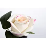 96СN-RB42 Диффузор Rose Bud Pink, спрей Rose Petal 5мл в упак. от ImperiumLoft