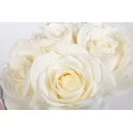 96СN-MB01 Диффузор Seven Rose Ivory, спрей 2x10 мл в упаковке от ImperiumLoft