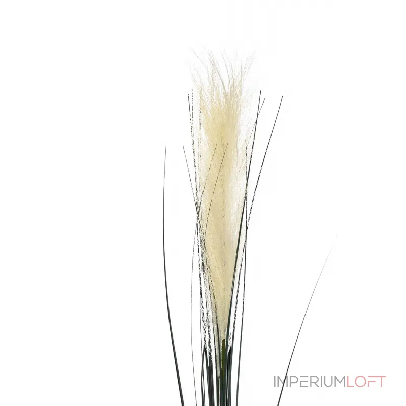 8J-14AB0002 Камыш травянистый белый 80см (36) от ImperiumLoft 8J-14AB0002 Камыш травянистый белый 80см (36) от ImperiumLoft