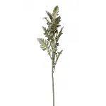 Цинерария GardaDecor 9F28508-5458