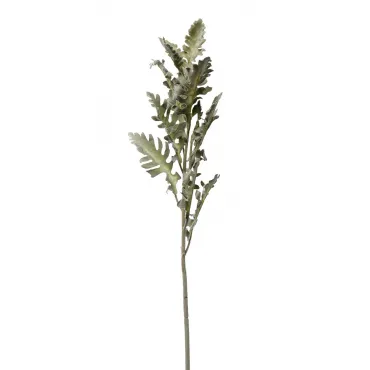 Цинерария GardaDecor 9F28508-5458 Цинерария GardaDecor 9F28508-5458