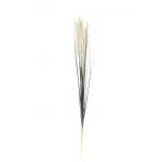 8J-14AB0002 Камыш травянистый белый 80см (36) от ImperiumLoft