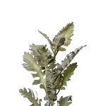 Цинерария GardaDecor 9F28508-5458