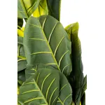 29BJ-803-30 Банановый куст в горшке h180см от ImperiumLoft