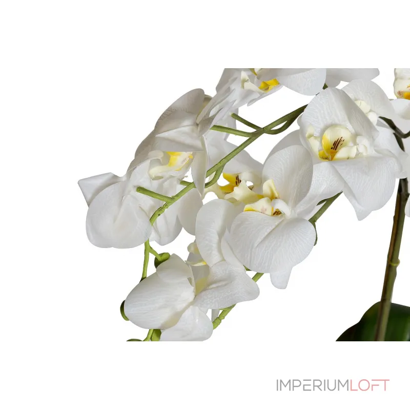29BJ-170-13 Орхидея белая в горшке h65 см от ImperiumLoft