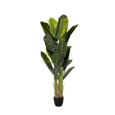 29BJ-803-30 Банановый куст в горшке h180см 29BJ-803-30 Банановый куст в горшке h180см