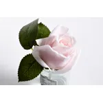 96СN-R46 Диффуз.Rose Bud French Pink,спрей White Gardenia 5мл уп от ImperiumLoft