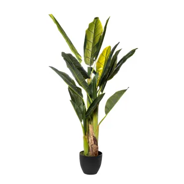 29BJ-803-18 Банановый куст в горшке h120см 29BJ-803-18 Банановый куст в горшке h120см