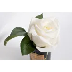 96СN-RB41 Диффузор Rose Bud White, спрей Rose Oud 5мл в упаковке от ImperiumLoft