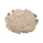 Декоративное блюдо D38 GardaDecor Соты 69-219013