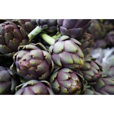 Постер Артишоки 54STR-ART2/ORG