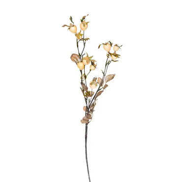 9F78731-WH Ветка с плодами шиповника 74см (24) 9F78731-WH Ветка с плодами шиповника 74см (24)