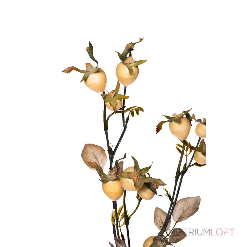 9F78731-WH Ветка с плодами шиповника 74см (24) от ImperiumLoft 9F78731-WH Ветка с плодами шиповника 74см (24) от ImperiumLoft