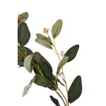 9F28558-GR Веточка эвкалипта с цветами листья зеленые 72см(24) от ImperiumLoft
