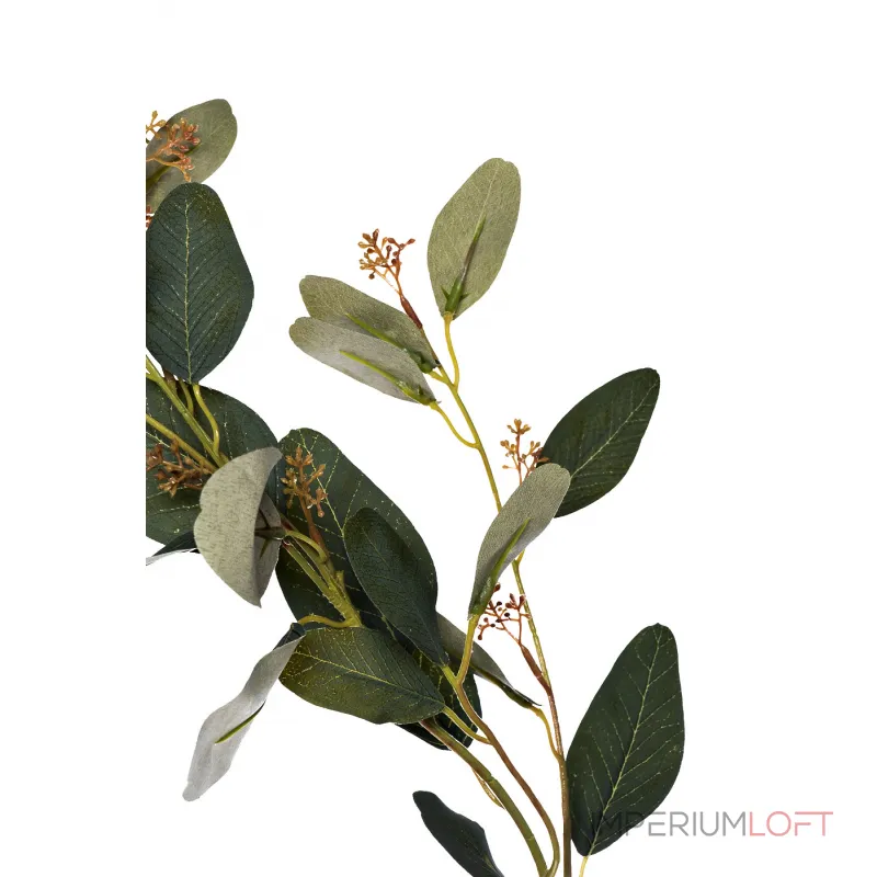 9F28558-GR Веточка эвкалипта с цветами листья зеленые 72см(24) от ImperiumLoft 9F28558-GR Веточка эвкалипта с цветами листья зеленые 72см(24) от ImperiumLoft