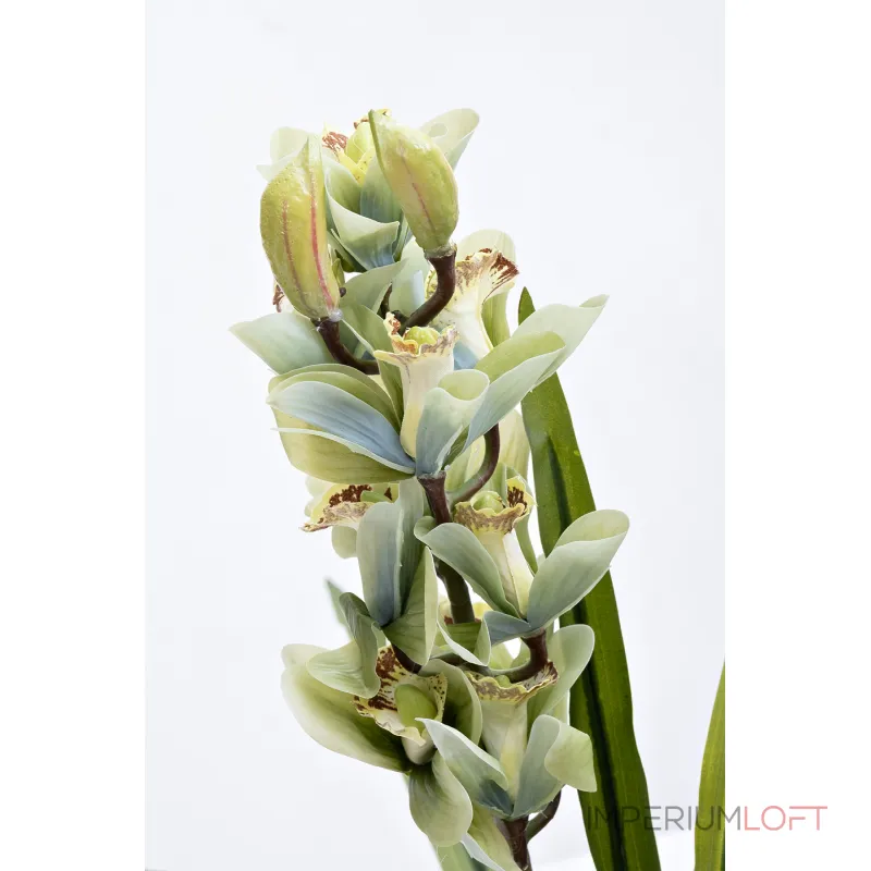 Орхидея Cymbidium искусствнная белая в горшке от ImperiumLoft
