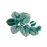 Декор настенный Листья тропические 37SM-1156 от ImperiumLoft