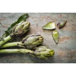 Стул на металлическом каркасе бежево-серый 76AR-6210-BGR от ImperiumLoft