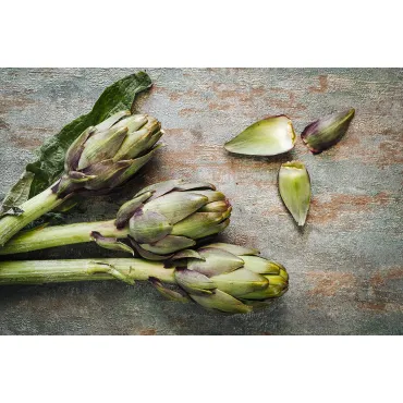 Стул на металлическом каркасе бежево-серый 76AR-6210-BGR