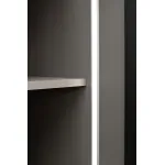 Шкаф двухдверный Garda Decor Alto GD-10013-6(тонировка) от ImperiumLoft