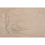 Полотенце лирика модал Garda Decor 145ERT-00808 от ImperiumLoft