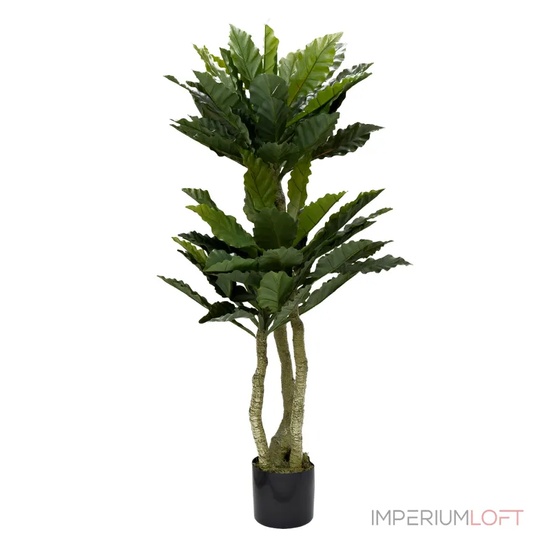 Папоротник гнездовой в горшке Garda Decor 29BJ-934 от ImperiumLoft