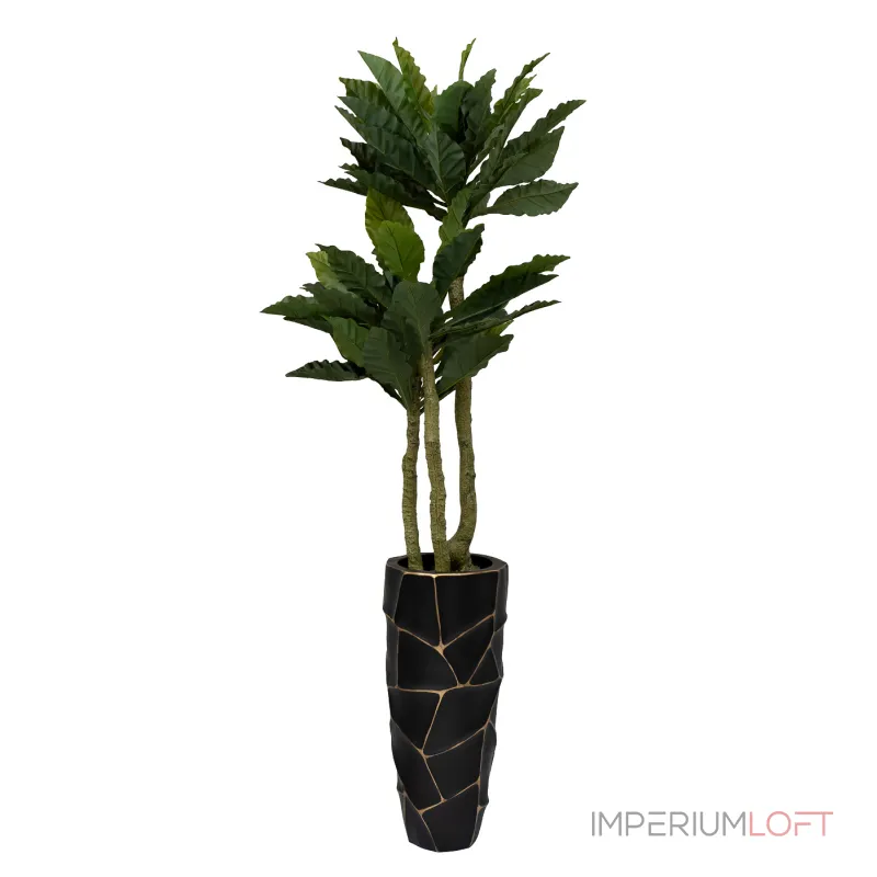 Папоротник гнездовой в горшке Garda Decor 29BJ-934 от ImperiumLoft