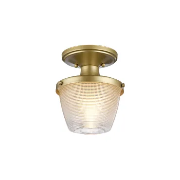 Потолочный светильник для ванной Quoizel Dublin QZ-DUBLIN-SF-PNBR Потолочный светильник для ванной Quoizel Dublin QZ-DUBLIN-SF-PNBR