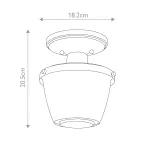 Потолочный светильник для ванной Quoizel Dublin QZ-DUBLIN-SF-PC от ImperiumLoft