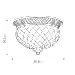 Потолочный светильник Hinkley Plantation HK-PLANT-F-S-PZ от ImperiumLoft