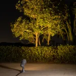 Ландшафтный свет Natural Concepts Dwell NC-003729-DG от ImperiumLoft